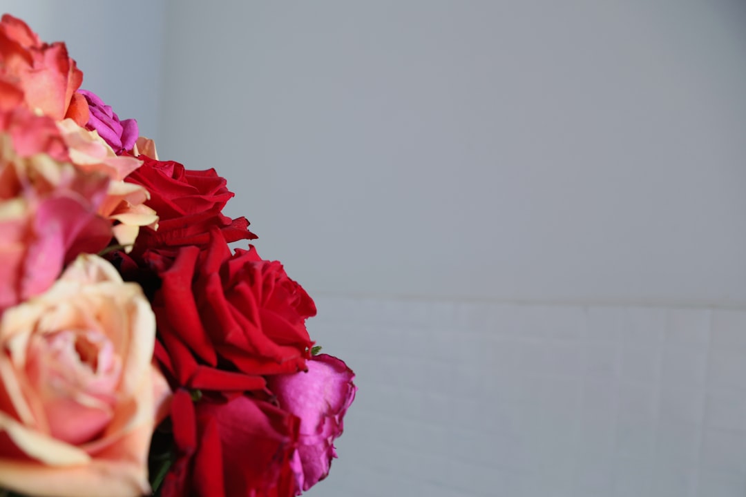 Photo sukienka pudrowy róż jaki żakiet